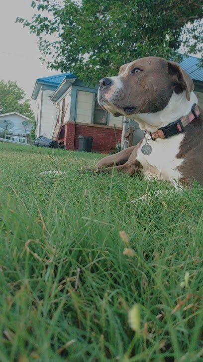 Dog day care in Kearney Nebraska Lost Creek Training Academy Boarding School 1 1