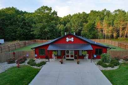 Dog day care in Kent City Michigan Ruff Life Pet Resort Daycare 1