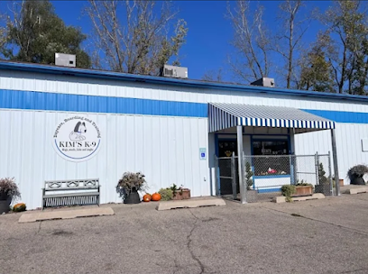 Dog day care in Kentwood Michigan Kim s K 9 1