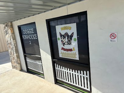 Dog day care in Kerrville Texas Doggie Funhouse 2 1