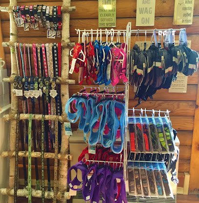 Dog day care in Kingfield Maine Country Mutt LLP 1