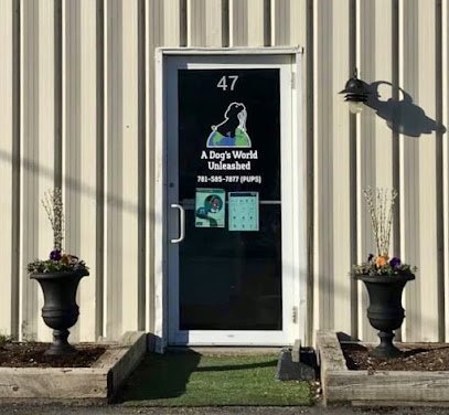 Dog day care in Kingston Massachusetts A Dog s World Unleashed 1