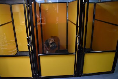 Dog day care in Kingston New York Daley Obedience 1