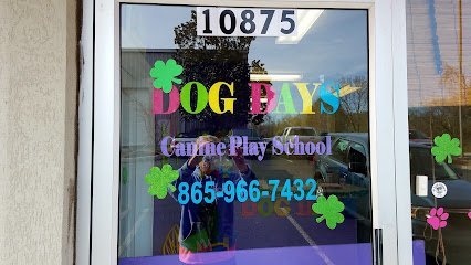 Dog day care in Knoxville Tennessee Dog Days Canine Playschool 1