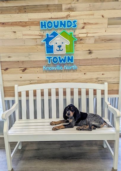 Dog day care in Knoxville Tennessee Hounds Town Knoxville North 1
