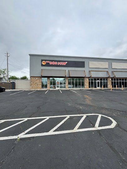 Dog day care in Knoxville Tennessee The Dog Stop Knoxville 1