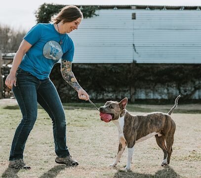 Dog day care in Kyle Texas Dogs Day Away 1