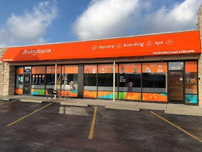 Dog day care in La Grange Highlands Illinois Dogtopia of La Grange 1