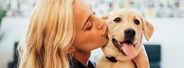 Dog day care in La Vista Nebraska Dogtopia of Omaha Papillion 1 1