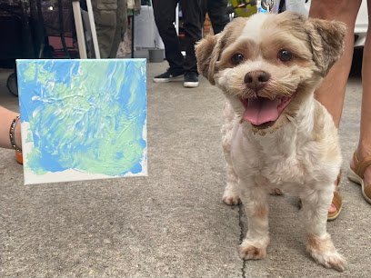 Dog day care in Lafayette Louisiana Dogtopia of South Lafayette 1