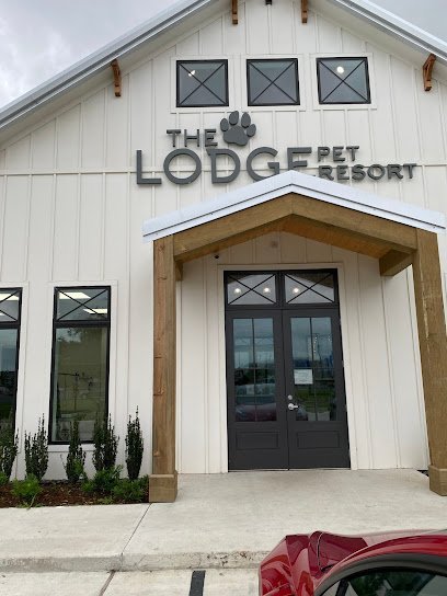 Dog day care in Lafayette Louisiana The Lodge Pet Resort 1