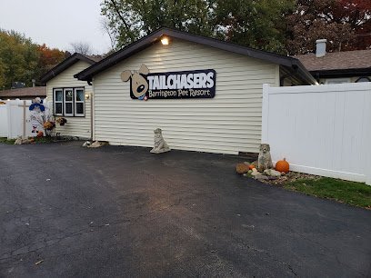 Dog day care in Lake Barrington Illinois Tailchasers Barrington Pet Resort 1