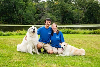 Dog day care in Lake Elmo Minnesota Animal Inn Pet Resort Spa 1