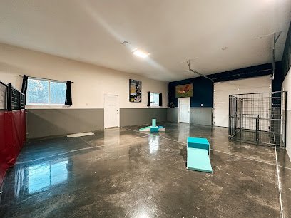 Dog day care in Lakeville Massachusetts DogTowne 1