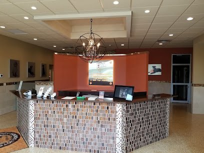 Dog day care in Lakewood New York Happy Hounds Hotel Day Spa 1