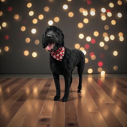 Dog day care in Lancaster Kentucky Sassys Country Paw Spa LLC 1