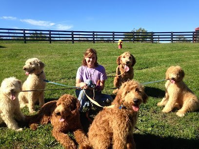 Dog day care in Lancaster Kentucky Twin Lakes Kennel LLC 1
