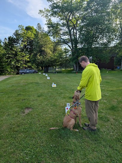 Dog day care in Lancaster New Hampshire Paws a tive Training 1