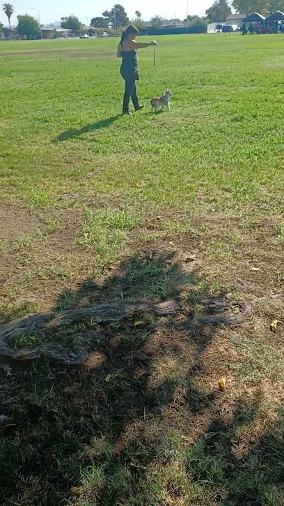 Dog day care in Las Vegas Nevada Petsitter Las Vegas 1 1