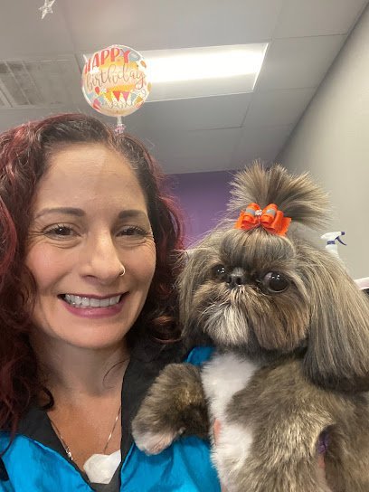 Dog day care in Las Vegas Nevada Sirius Pet Styling Dog Grooming Doggy Daycare 1 1