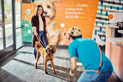 Dog day care in Latham New York Dogtopia of Latham 1