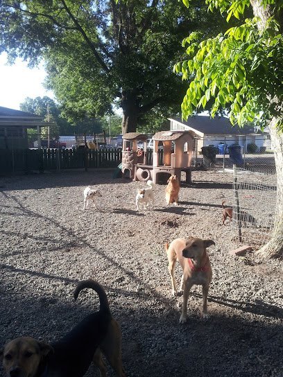 Dog day care in Laurinburg North Carolina Adams Pet Spa 1