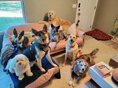 Dog day care in Lawton Oklahoma Sittermate LLC 1