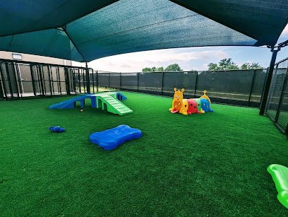 Dog day care in Leander Texas Mercy Pet Resort 1