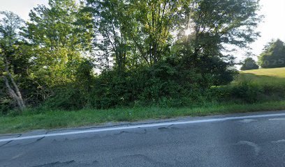 Dog day care in Lebanon Ohio Alexander s Kennels LLC 1