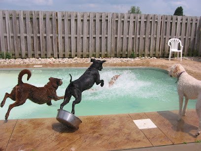 Dog day care in Lebanon Ohio Ivanhoe Country Kennels 1