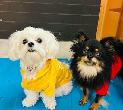 Dog day care in Lebanon Ohio LaBark Place Dog Daycare and Overnights 1