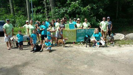 Dog day care in Lee New Hampshire Take Five Dogcare 1