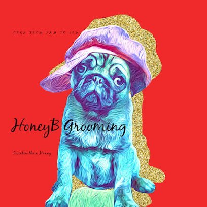 Dog day care in Lee s Summit Missouri Honey B Grooming and Boarding 1 1