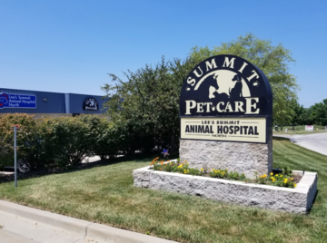 Dog day care in Lee s Summit Missouri Summit Pet Care 1