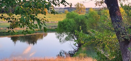 Dog day care in Leon Iowa Maybe It s Magic Dog Training 1