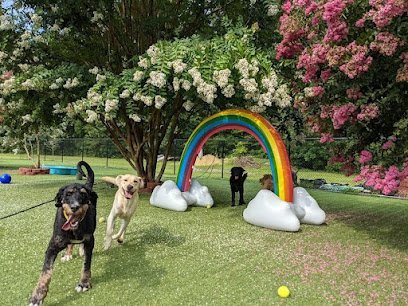 Dog day care in Leonardtown Maryland The Pet Lodge Maryland 1