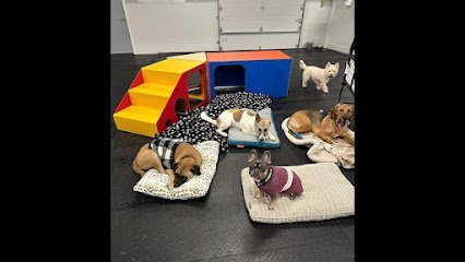 Dog day care in Lewis Center Ohio Camp Run A Mutt Columbus 1