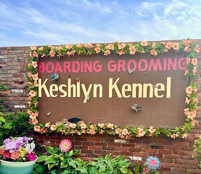 Dog day care in Lexington Kentucky Keshlyn Kennel 1