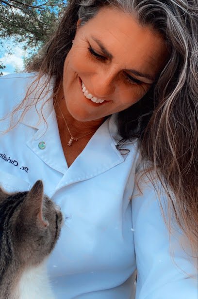 Dog day care in Lexington Oklahoma Cedar Creek Veterinary Clinic 1