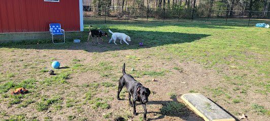 Dog day care in Lexington Park Maryland Trails End Pet Sitting 1