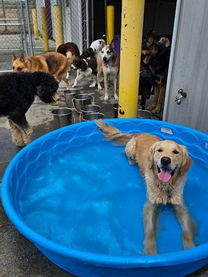 Dog day care in Lilburn Georgia Funnybones for Big Dogs