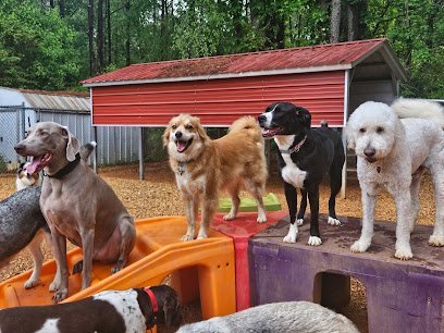Dog day care in Lilburn Georgia Funnybones for Dogs