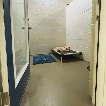 Dog day care in Lily Kentucky Tri County Pet Resort 1