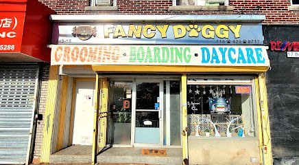 Dog day care in Little Neck New York Fancy Doggy Dog Grooming Daycare and BoardingDoggy Doggy 애견 미용실 1