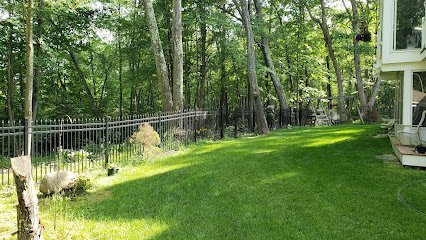 Dog day care in Littleton Massachusetts Kings Kanines K9 s 1