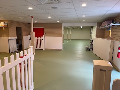 Dog day care in Lockport Illinois Wags to Riches Dog Daycare and Training Center 1