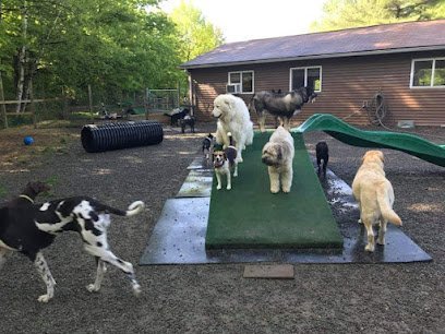 Dog day care in Lockwood New York Furry Friends Inn 1