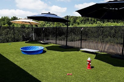 Dog day care in Locust North Carolina Riley s Retreat 1