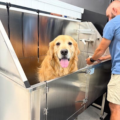 Dog day care in London Kentucky Gone to The Dogs 1