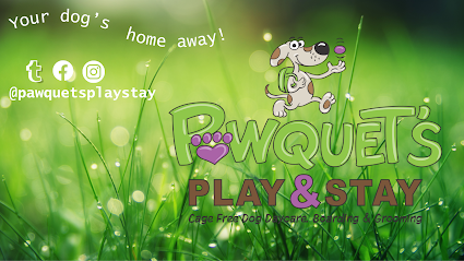 Dog day care in Londonderry New Hampshire Pawquet s Play Stay 1